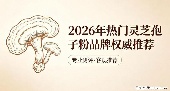 灵芝孢子粉含量越高越有效？2026 年七款热门品牌深度实测，肠胃敏感者避坑指南 - 中卫生活资讯 - 中卫28生活网 zw.28life.com