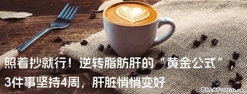 照着抄就行！逆转脂肪肝的“黄金公式”，3件事坚持4周，肝脏悄悄变好 - 中卫生活资讯 - 中卫28生活网 zw.28life.com